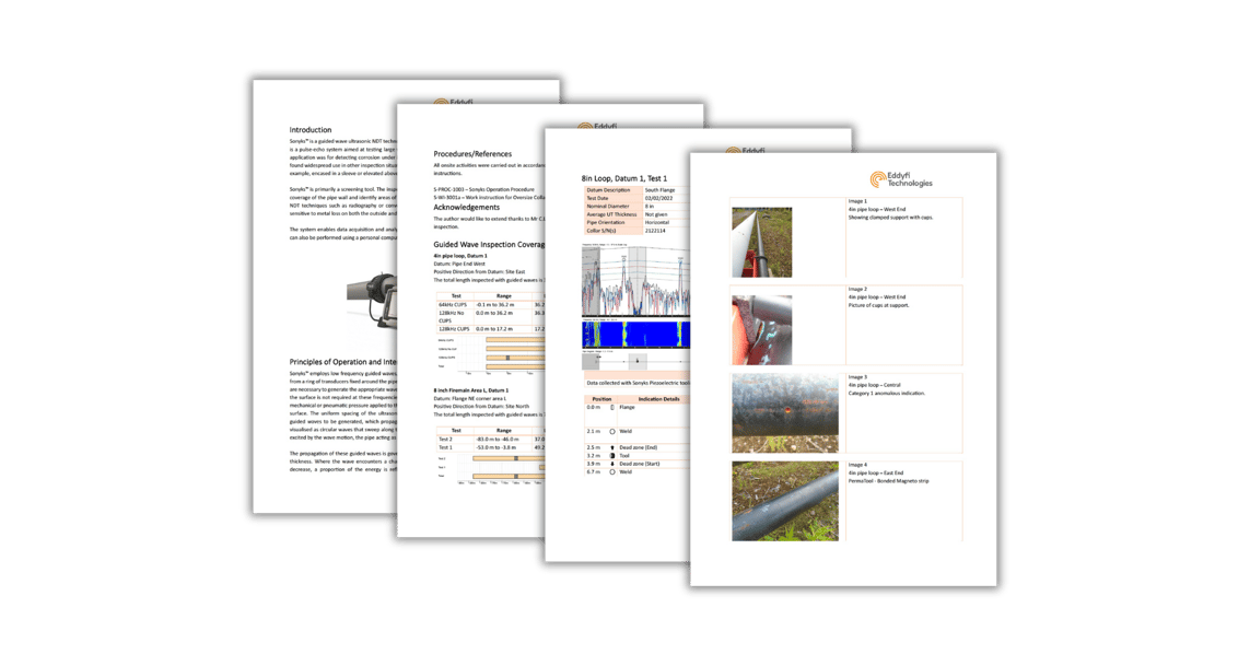 Sonyks PDF Report