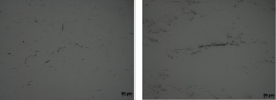 High Temperature Hydrogen Attack