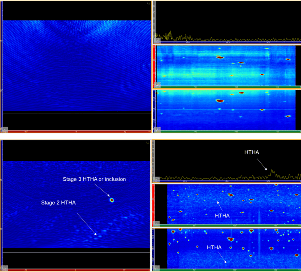 High Temperature Hydrogen Attack Inspection using Total Focusing Method